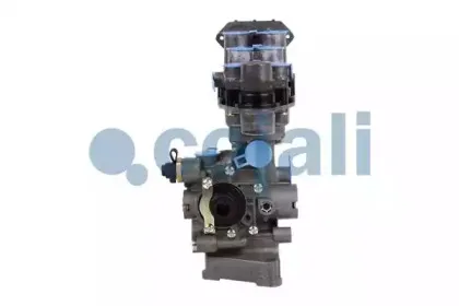 cojali-2310901