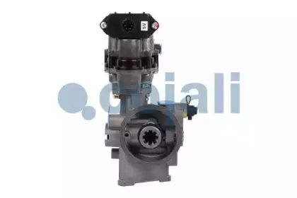 cojali-2310901