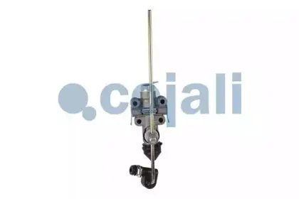 2314301 COJALI
