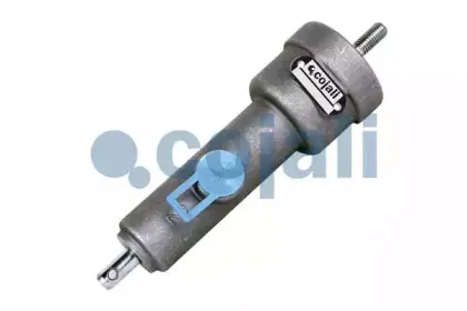 cojali-2323501
