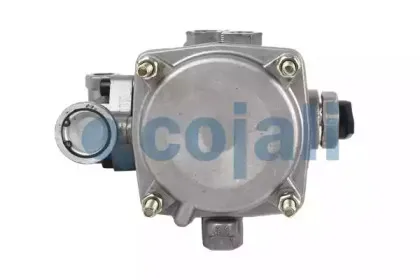 cojali-2330201