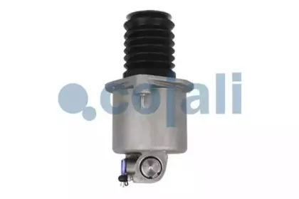 cojali-2350109