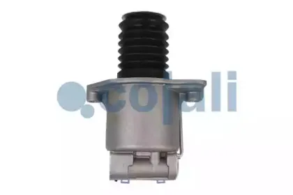 cojali-2350109