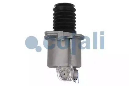 cojali-2350109