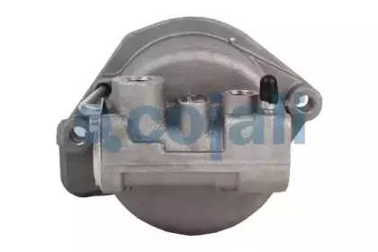 cojali-2350109