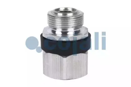 cojali-2380159