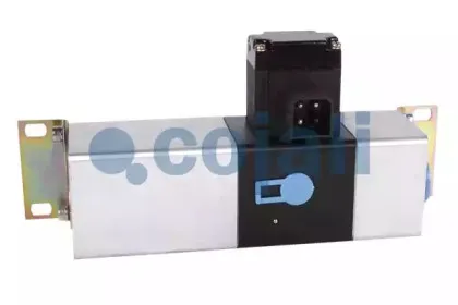 cojali-2415301