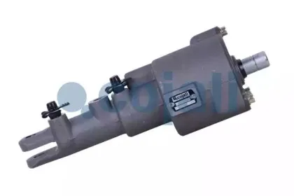 cojali-2550601