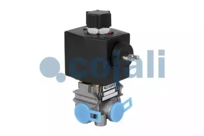cojali-2880103
