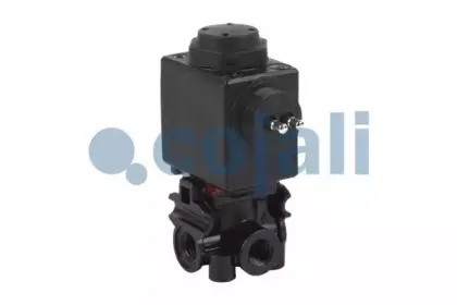 cojali-2880123