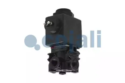 cojali-2880123
