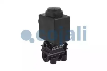 cojali-2880123