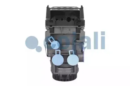 cojali-354111