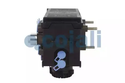 cojali-354390