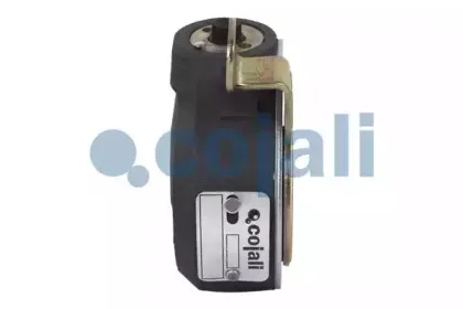 cojali-4232102