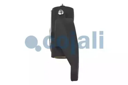cojali-4232102