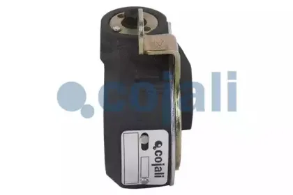 cojali-4232103