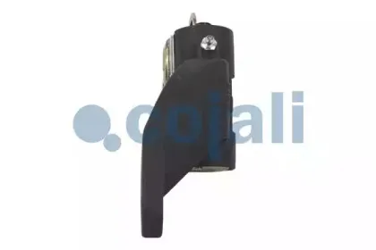 cojali-4232103