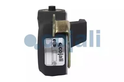 cojali-4232104