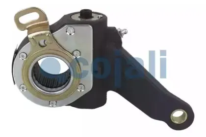 cojali-4232146