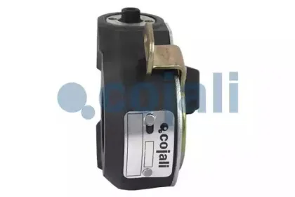 cojali-4232146