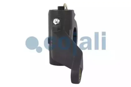 cojali-4232147