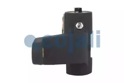 cojali-4232150