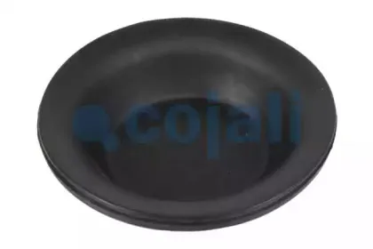 cojali-6001100