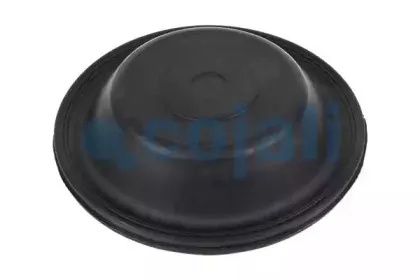 cojali-6001100