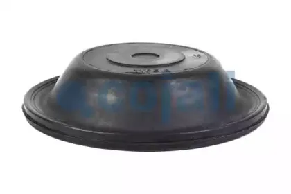 cojali-6001100