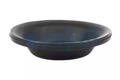 cojali-6001100