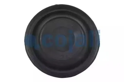 cojali-6001100