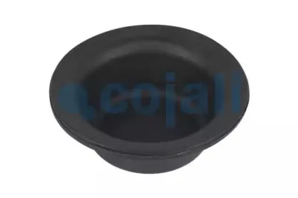 6001104 COJALI Мембрана, цилиндр пружинного энерго-аккумулятора