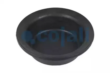 cojali-6001113