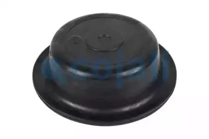 cojali-6001113
