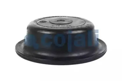 cojali-6001113