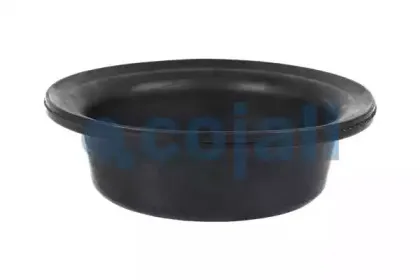 cojali-6001113