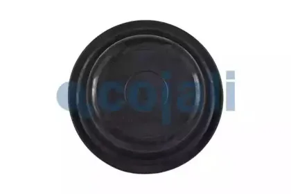 cojali-6001113