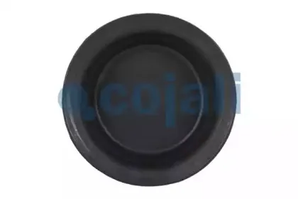 cojali-6001113