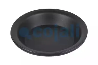 cojali-6001116