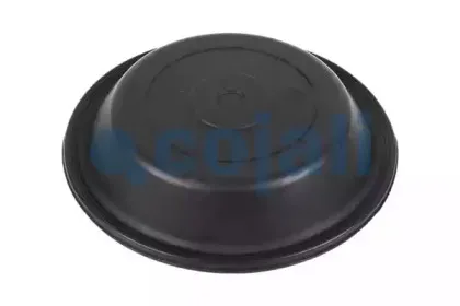 cojali-6001116