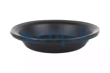 cojali-6001116