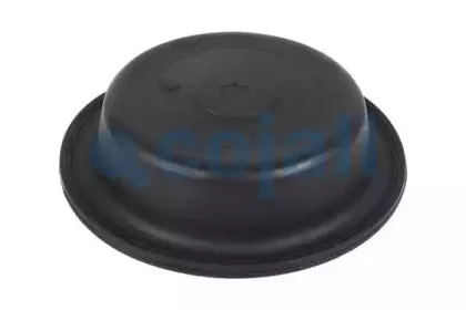 cojali-6001117
