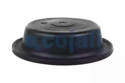 cojali-6001117