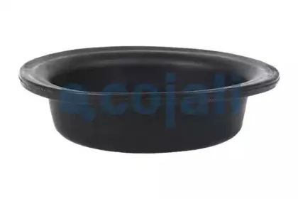 cojali-6001117