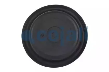 cojali-6001117