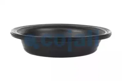 cojali-6001119