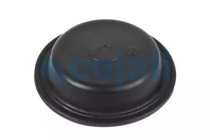 cojali-6001119