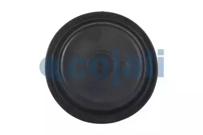 cojali-6001119