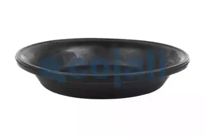 cojali-6001121